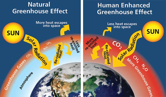 Greenhouse Effect Model