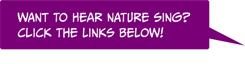 Speech bubble: Want to hear nature sing? Click the links below!